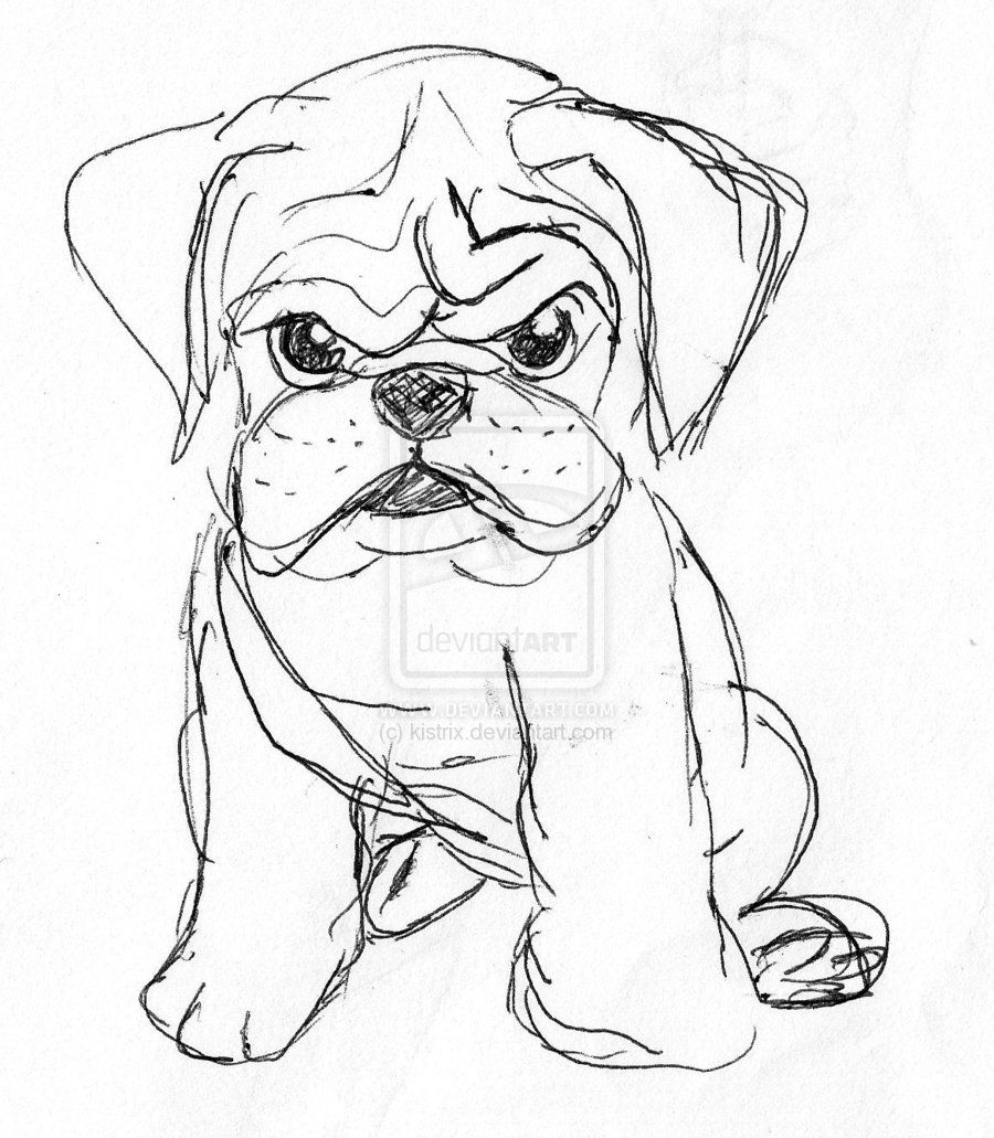 Featured image of post Angry Puppy Drawing