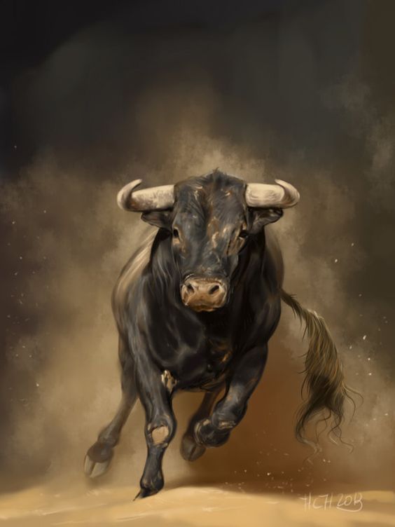 Featured image of post Animal Bull Wallpaper Iphone