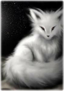 Featured image of post Baby Kitsune Fox