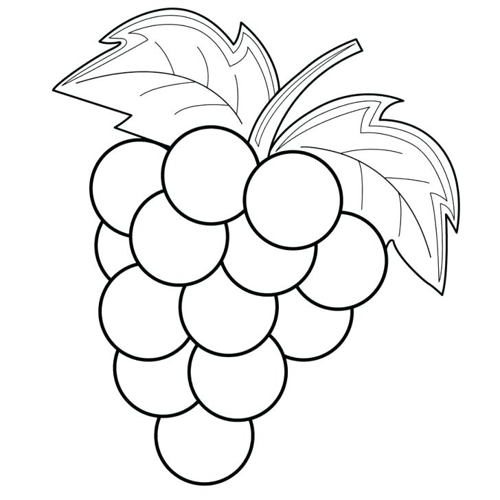 Featured image of post Bunch Of Grapes Coloring Page