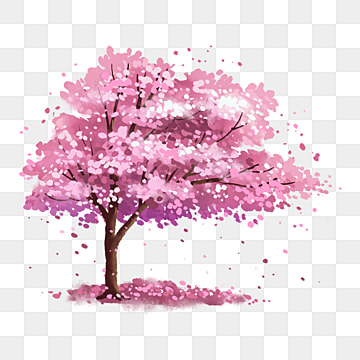 Featured image of post Cherry Blossom Tree Png Clipart