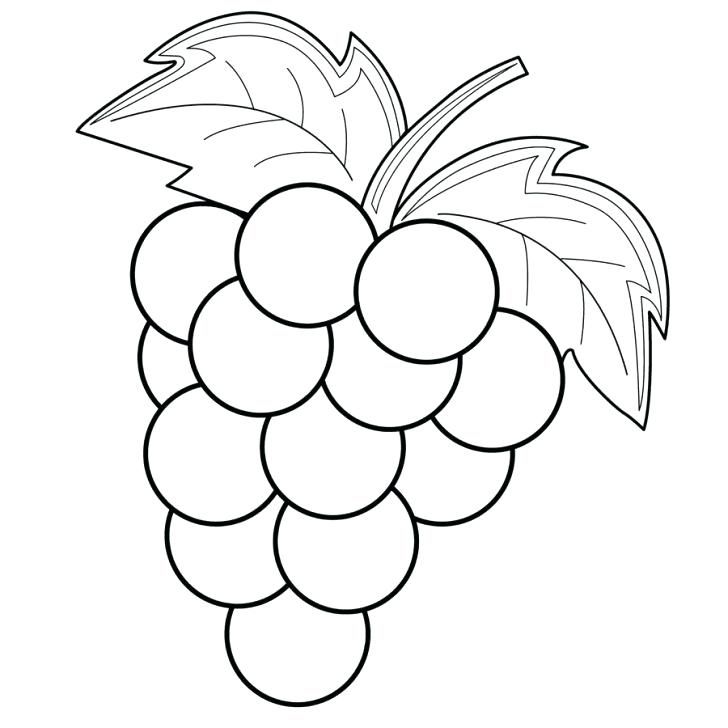 Featured image of post Coloring Sheet Grapes Coloring Page