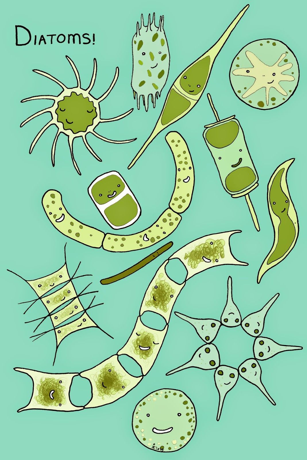 Featured image of post Cute Phytoplankton Drawing