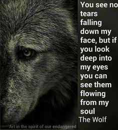 Featured image of post Deep Sad Wolf Quotes