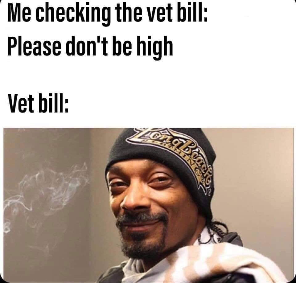 Featured image of post Dog Vet Bill Meme