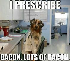 Featured image of post Dog Vet Meme