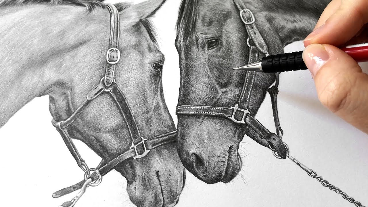 Featured image of post How To Draw A Horse Realistic