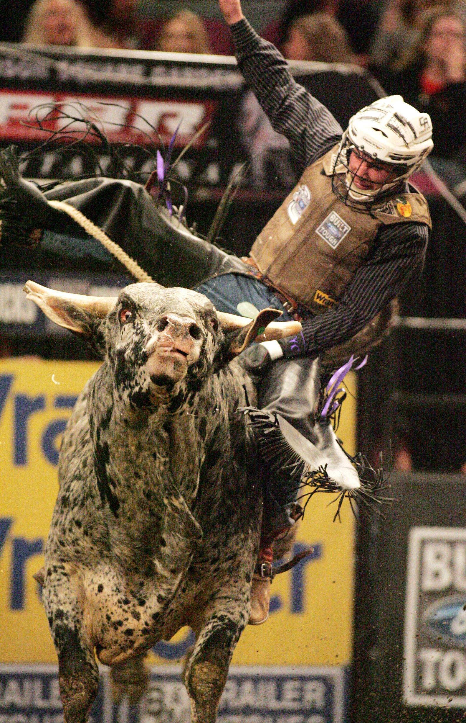 Featured image of post Iphone Bull Riding Wallpaper