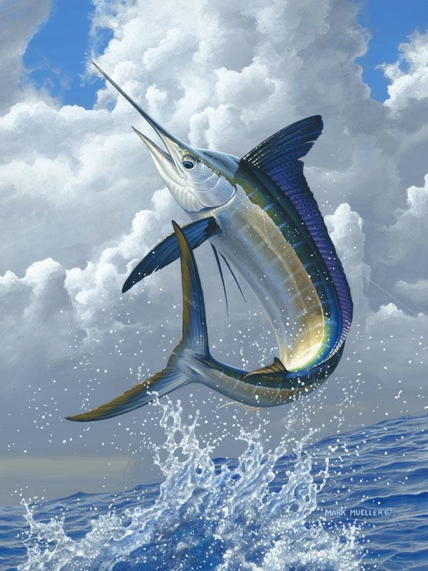 Featured image of post Jumping Marlin Wallpaper