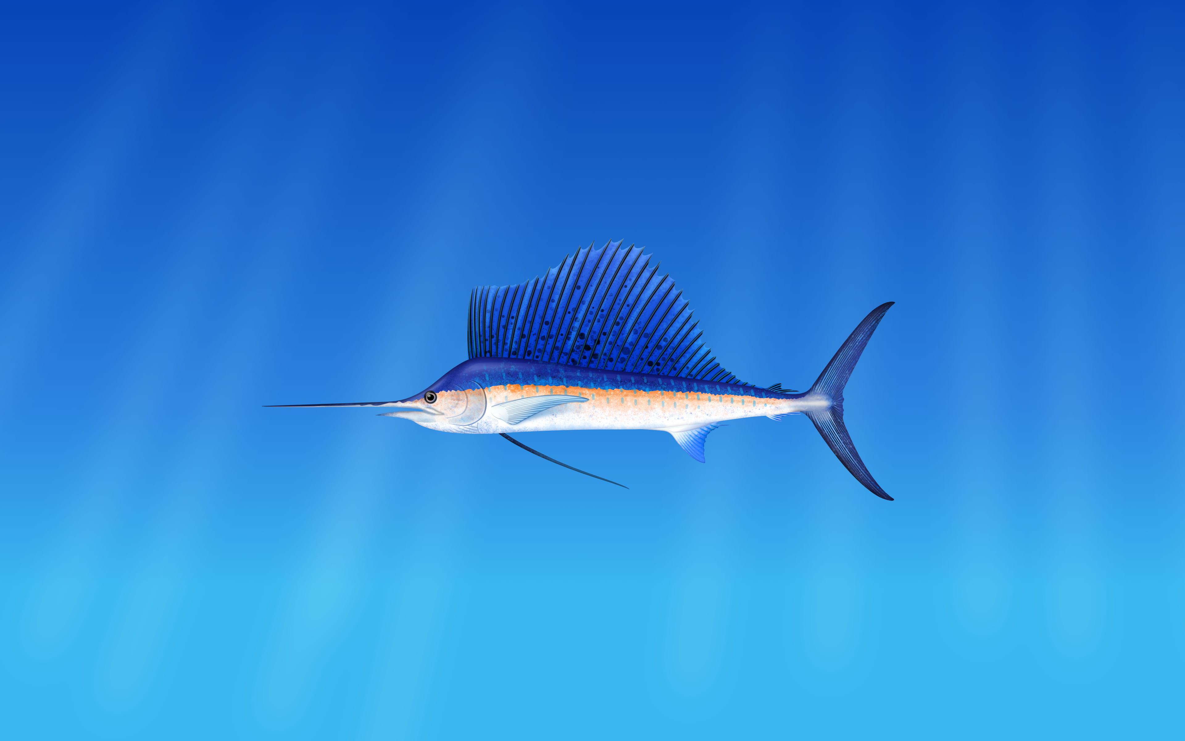 Featured image of post Marlin Wallpaper Hd