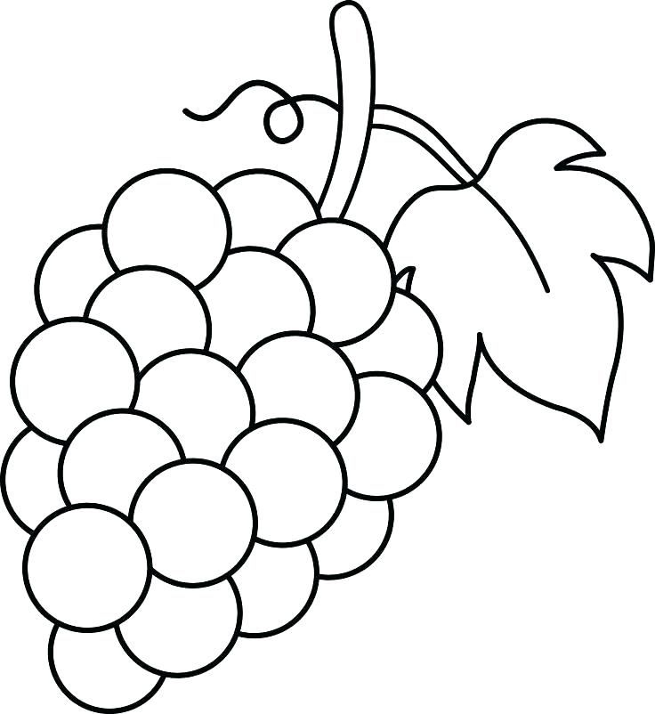 Featured image of post Simple Grapes Coloring Page