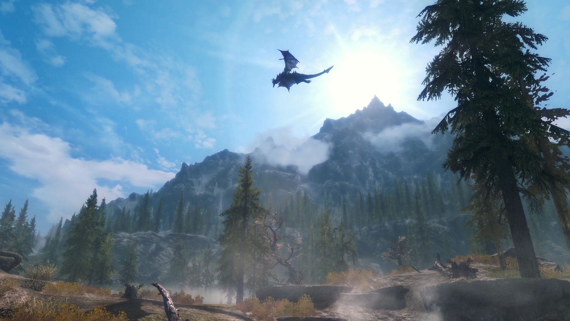 Featured image of post Skyrim Landscape Dragon