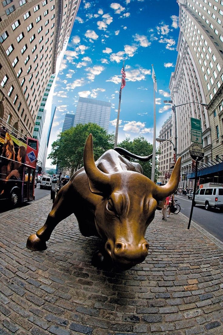 Featured image of post Stock Market Bull Wallpaper Iphone