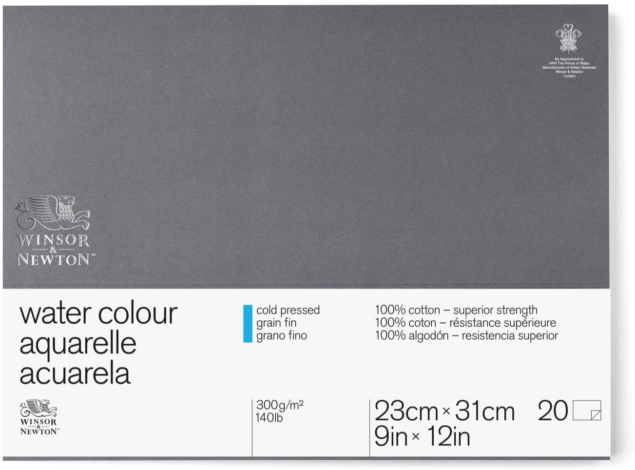 Featured image of post Winsor Newton Professional Watercolor Paper